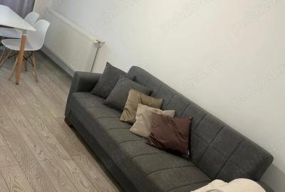 Proprietar - - 3