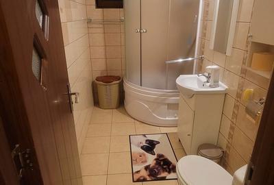 Apartament cu 3 camere decomandat în Ludoș - 5