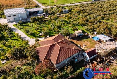 ID 7785 LIVADA SABANGIA DE VANZARE - 19