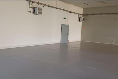 Spațiu industrial, de 870 mp, în Uzina 2 - 10