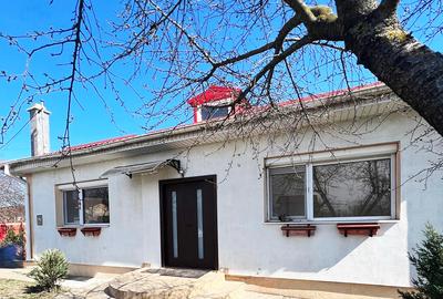 Casă cu 2 camere în Costi