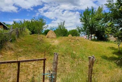 Teren de 1220 mp, în Ștefan cel Mare - 5