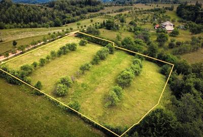 Teren agricol extravilan de 9100 mp, în Preluca Veche - 3