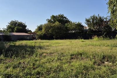 Otopeni, lot de casa de 474,5mp si deschidere 16mp, la 300m de DN1 Otopeni, lot de casa de 474,5mp si deschidere 16mp, la 300m de DN1 - 6