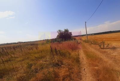 Teren pentru casa/case in Branesti pe strada Toporasi - 12