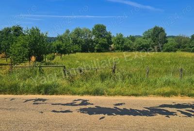 Teren de vanzare in comuna Domne?ti, jude? Arge?. - 3