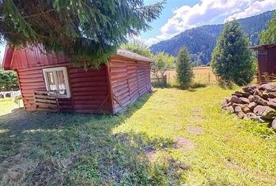 Tur 3D&FILM!!Refugiu de vacanta, in pitorescul cadru:Lunca Bradului - 15