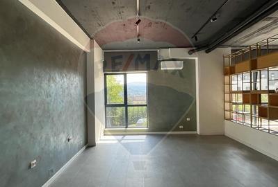 Spatiu comercial Vanzare cu Chiriasi | Taietura Turcului - 4