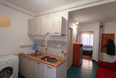 Garsonieră decomandată în Tudor - 3