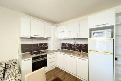 Apartament cu 2 camere de inchiriat Zona Borhanci - 6