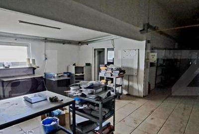 Oportunitate! Teren intravilan 20000 mp si spatiu industrial - 32