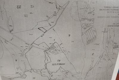 Teren Construcții extravilan de 1500 mp, în Rediu - 2