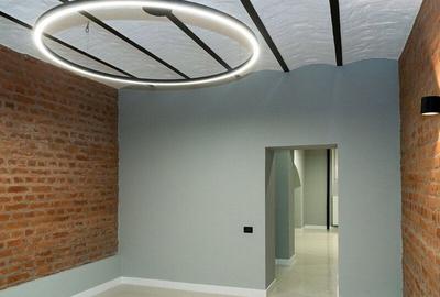 APARTAMENT 7 CAMERE-PREMIUM-MOSILOR-ARMENEASCA-DEMISOL INALT - 2