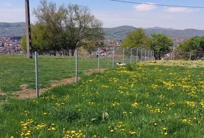 Teren Campina varful Muscel - 5