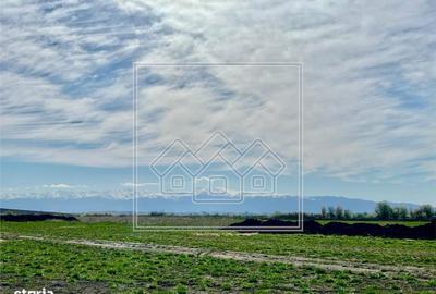 Spațiu comercial, în Șura Mică - 3