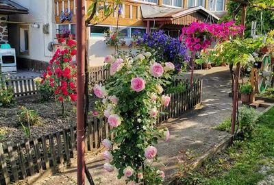 Casa comuna Balteni, Gorj - 5