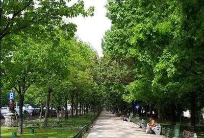 Apartament cu 4 camere decomandat în Unirii - 3