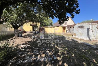 Casa individuala , 3 camere,acces auto,crama,garaj,teren 1437,Masloc - 13