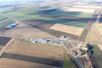 Teren de 10000 mp, în Reci - 2