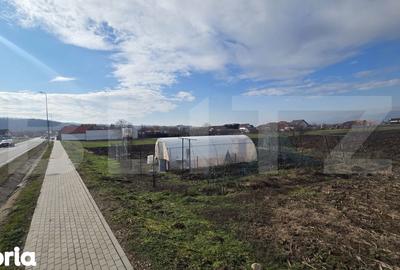 Teren de 14300 mp, în Ciugud - 3