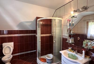 Casă cu 4 camere în Ilișești - 7