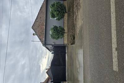 Vand casa cu gradina in Ciumeghiu - 5