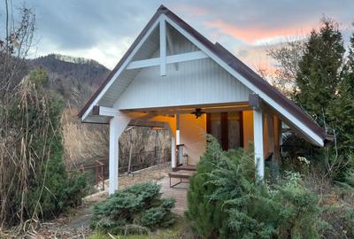 Domeniu privat cu iazuri in apropiere de Piatra Neamt - 9