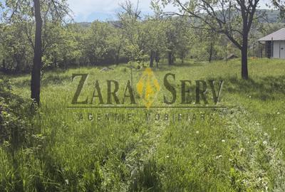 Teren Construcții intravilan de 2250 mp, în Drajna - 2