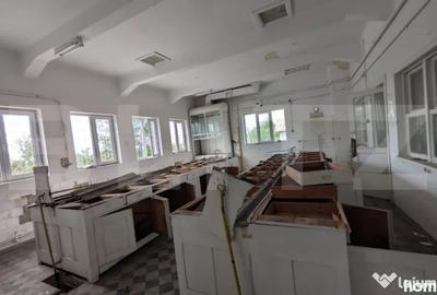 Casă cu 5 camere cu Teren 1216 Mp în Central - 3