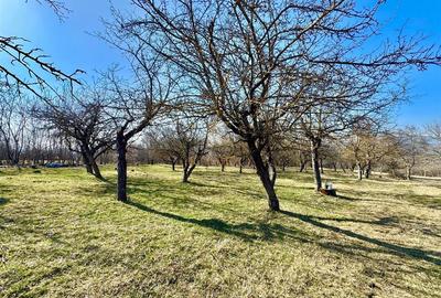 Casă individuală cu 4 camere cu Teren 2576 Mp în Nord-Vest - 16