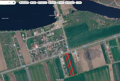 Teren Construcții intravilan de 5000 mp, în Moara Vlăsiei - 2