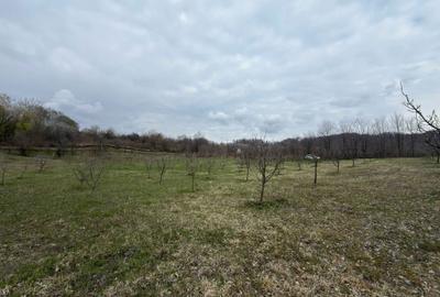 Spațiu comercial, în Bărbulețu - 4