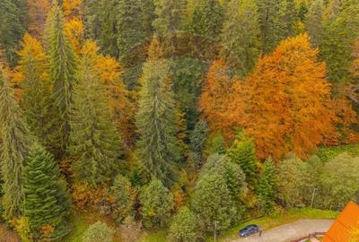 Comision 0 | Teren intravilan de vanzare Predeal, Bra?ov 908 mp - 8