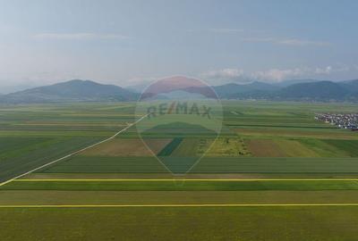 Teren 42,000mp Tarlungeni / Strada Izvor - 6