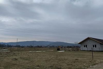 Teren de 545 mp, în Petrești - 3