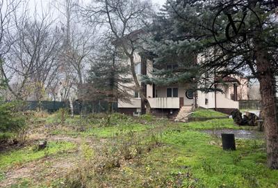 Casa 8 camere | Erou Iancu Nicoale | Teren 842mp - 3