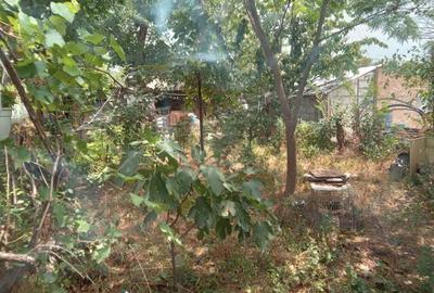 Casa de vanzare+1000 mp teren, la tara - 6