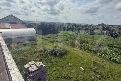 Casă cu 4 camere cu Teren 8000 Mp în Central - 5