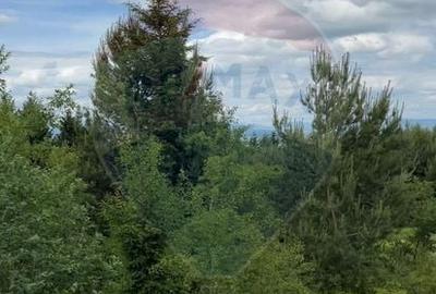 Comision 0%! Teren Sacele / Strada Valea Larga 2000 mp - 6