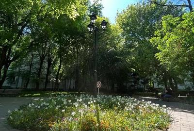 Garsoniera vatra luminoasa-metrou 7 minute-parcul ciurea-mega mall - 8