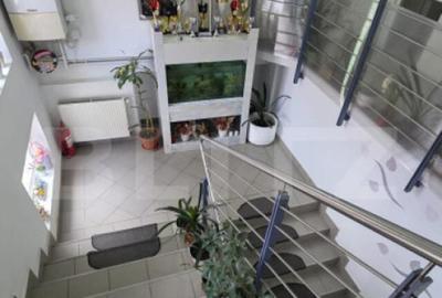 Cladire comerciala 350mp utili, str. Dornei - 5