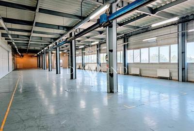 Spațiu industrial, de 750 mp, în Berceni - 6