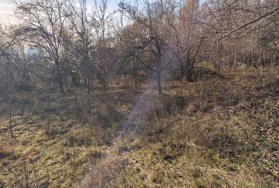 Teren intravilan Breaza 4,000mp cu  utilitati. Panorama superba. Intimitate. - 13