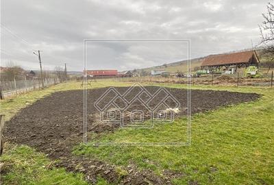 Casa in Sibiu - Vurpar - 2 constructii in curte - Gradina mare - 17