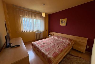 Apartament cu 2 camere semidecomandat, mobilat în Tineretului - 4