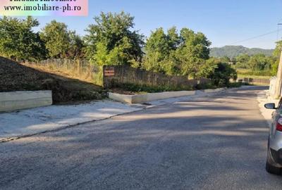 Teren de vanzare - Breaza Teren de vanzare - Breaza - 5