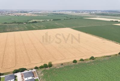 REL4001001 Teren Tunari  - planul 2 l Padurea Tunari - 1