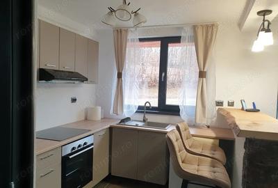 Casă în Bistra Mureșului - 3