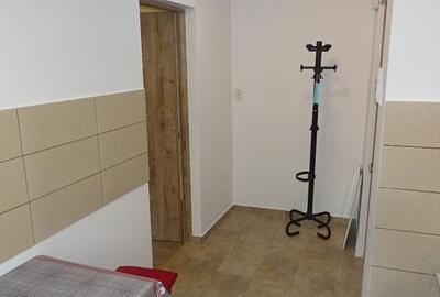 Apartament cu 2 camere semidecomandat în Ultracentral - 9