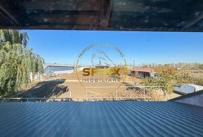 De vanzare ferma Calarasi in stare de conservare - sere - livada - 24